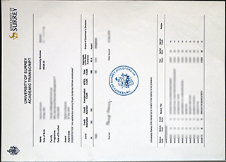 University of Surrey transcript