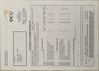 Dublin City University transcript