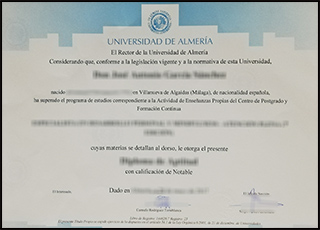 University of Almeria degree