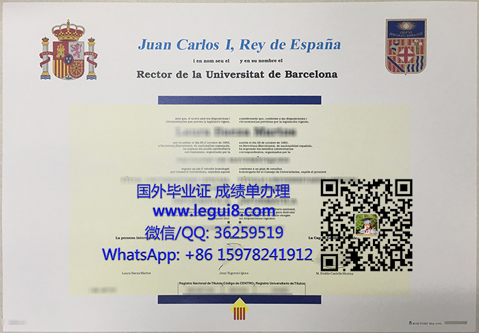 University of Barcelona degree