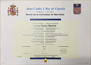 University of Barcelona degree