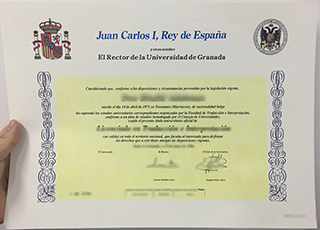 University of Granada degree