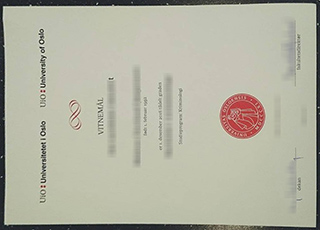 University of Oslo degree