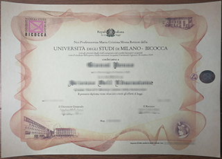 University of Milano-Bicocca degree