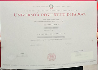 University of Padua degree