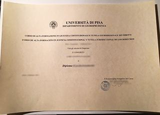 University of Pisa degree