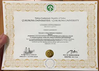 Çukurova University degree