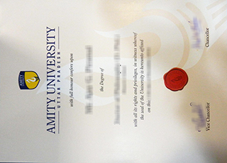 Amity University degree