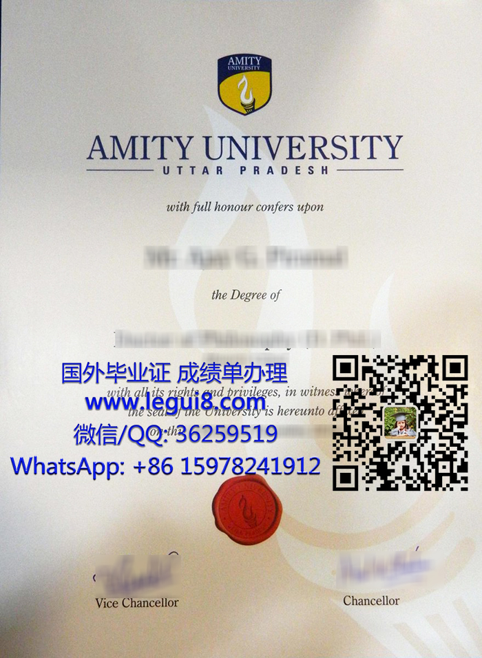 Amity University degree