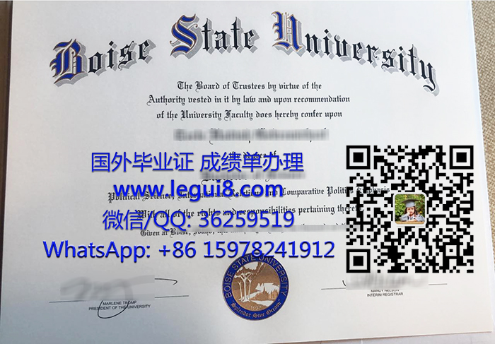 Boise State University degree