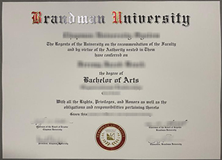 Brandman University degree