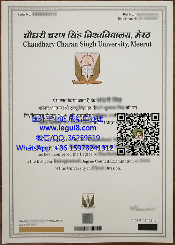 Chaudhary Charan Singh University degree