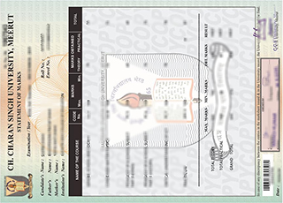 Chaudhary Charan Singh University transcript