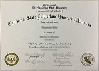 Cal Poly Pomona diploma