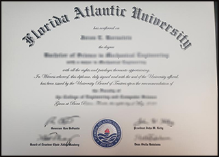 Florida Atlantic University degree