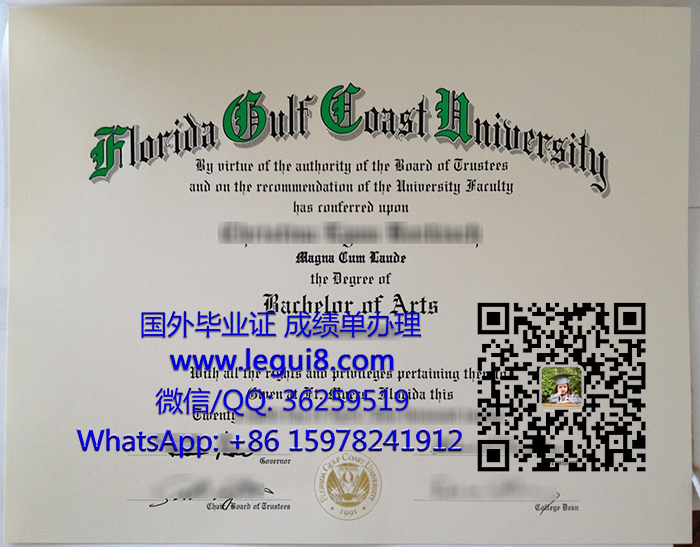 Florida Gulf Coast University degree