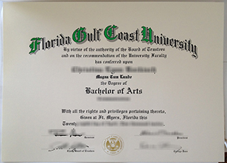 Florida Gulf Coast University degree