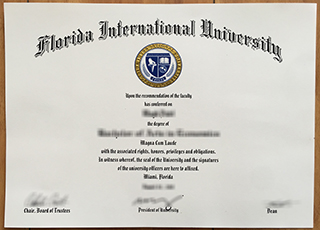 Florida International University degree