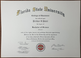 Florida State University degree