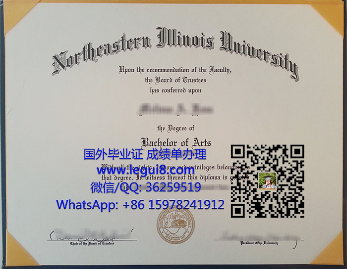 Northeastern Illinois University BA degree