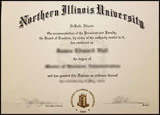 Northern Illinois University degree