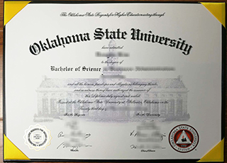 Oklahoma State University BSc degree