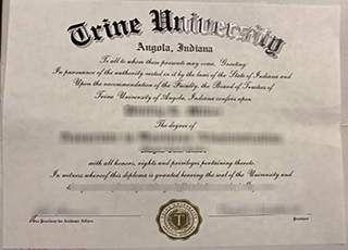 Trine University degree