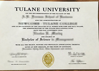 Tulane University BSc degree