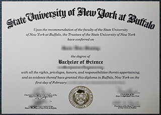 University at Buffalo diploma