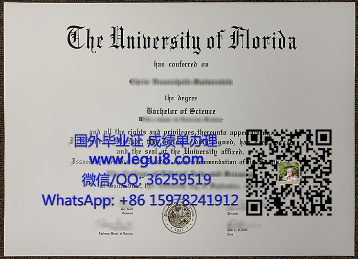 University of Florida degree