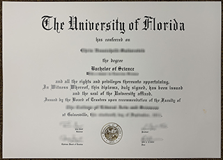 University of Florida degree