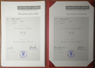 Universität Leipzig degree