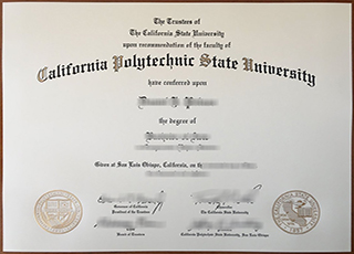 Cal Poly degree