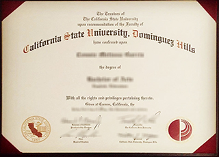 Cal State Dominguez Hills degree