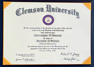 Clemson University degree