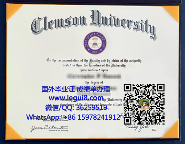 Clemson University degree