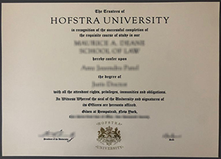 Hofstra University degree