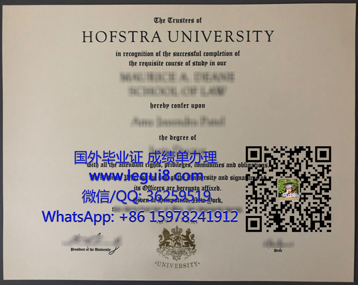 Hofstra University degree 