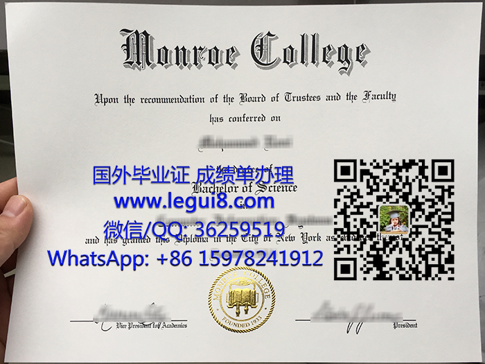 Monroe College BSc degree