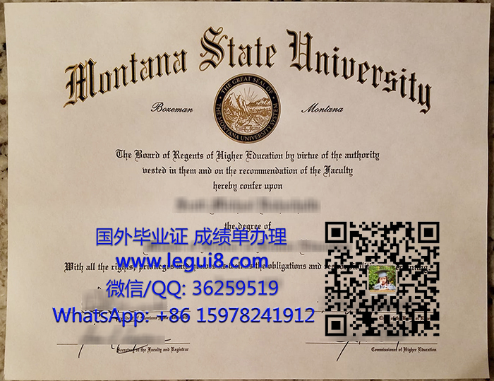 Montana State University degree