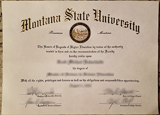 Montana State University degree