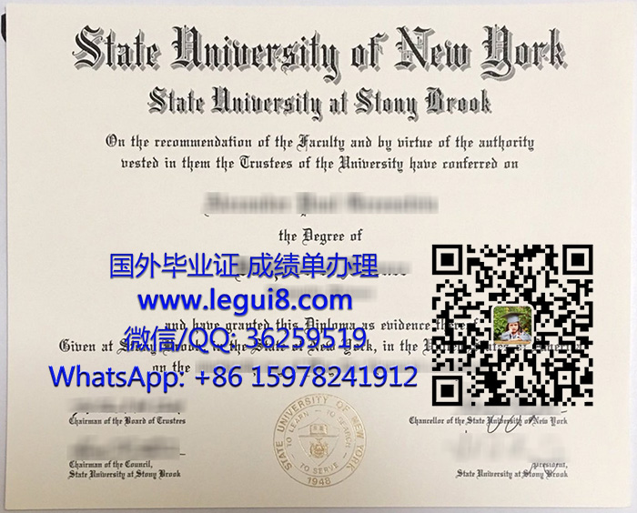 Stony Brook University degree