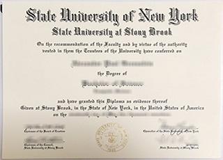 Stony Brook University degree