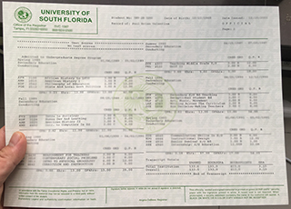 University of South Florida transcript