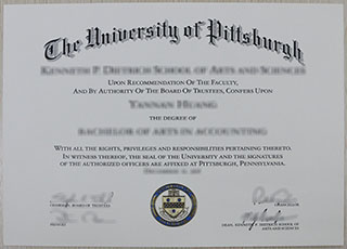 University of Pittsburgh degree