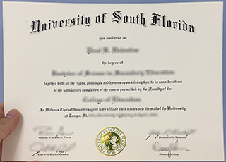 University of South Florida degree