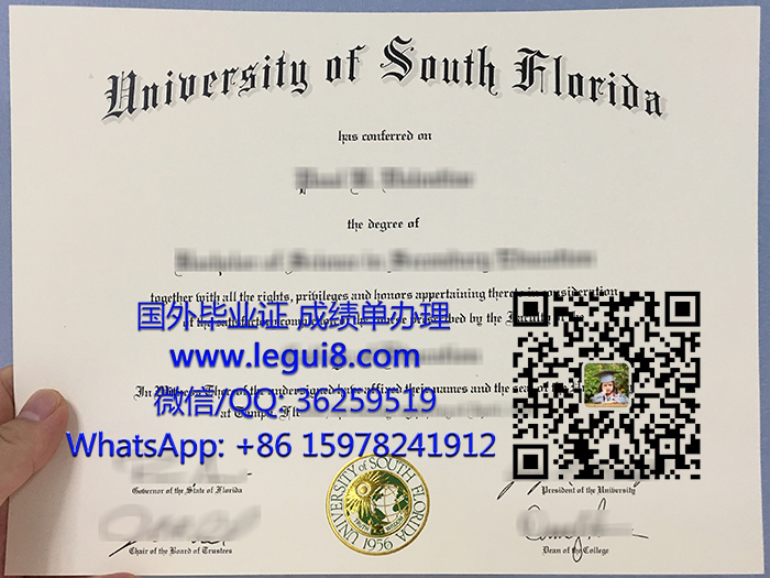 University of South Florida degree