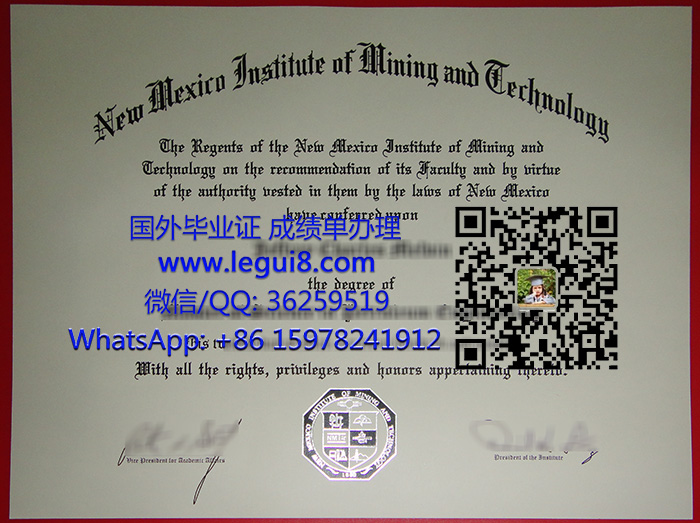 New Mexico Institute of Mining and Technology degree