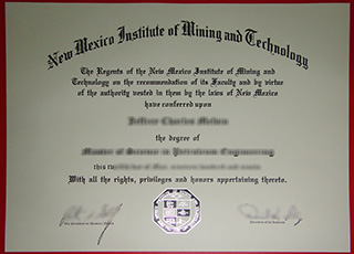 New Mexico Institute of Mining and Technology degree