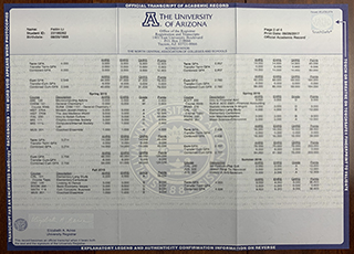 University of Arizona transcript